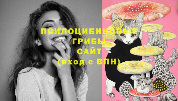 МДМА Елизово