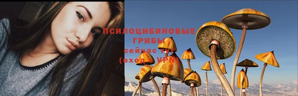 амфетамин Ельня